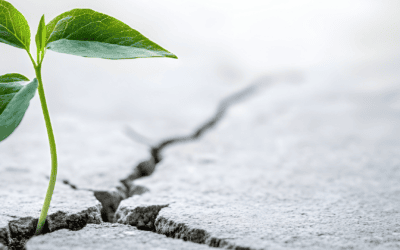 Uncertainty Isn’t an Employee Problem